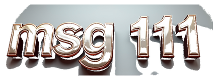 msg 111 logo